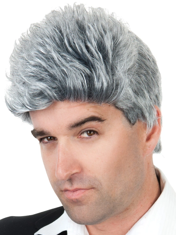 GREY CLOONEY WIG 3 GREY CLOONEY WIG