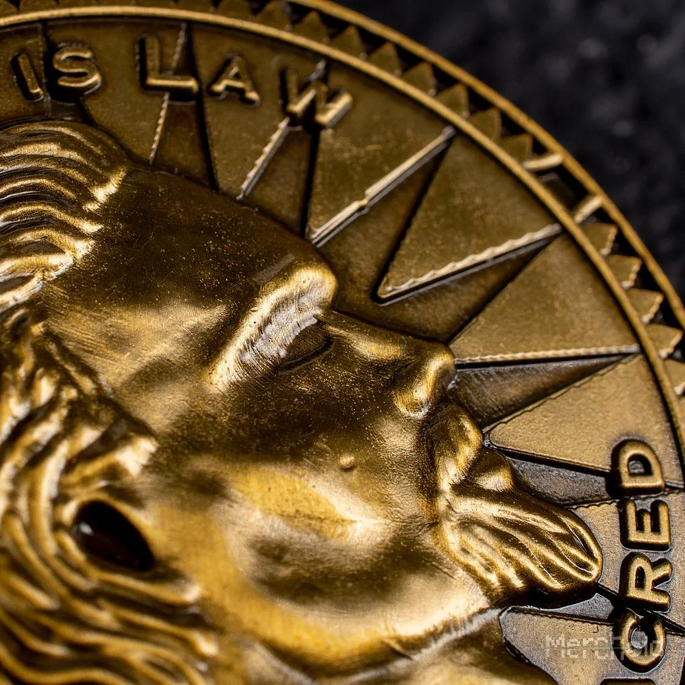 The Elder Scrolls,Skyrim Skyrim Limited Edition Coin 7 The Elder Scrolls,Skyrim Skyrim Limited Edition Coin - Image 5