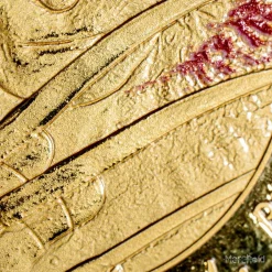 Nightmare On Elm Street Collectible Coin 20 Nightmare On Elm Street Collectible Coin -Wigs for Fancy Dress Sales Shop freddykruger coin back 9