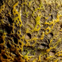 Game Of Thrones The Green One Shall Be... Rhaegal Dragon Egg Prop Replica -Wigs for Fancy Dress Sales Shop got rhaegal dragon egg 6