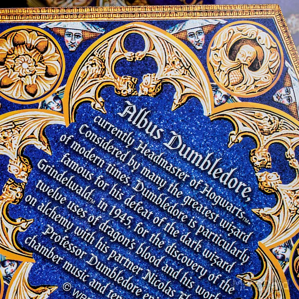 Harry Potter Chocolate Frog Prop Replica 16 Harry Potter Chocolate Frog Prop Replica - Image 14