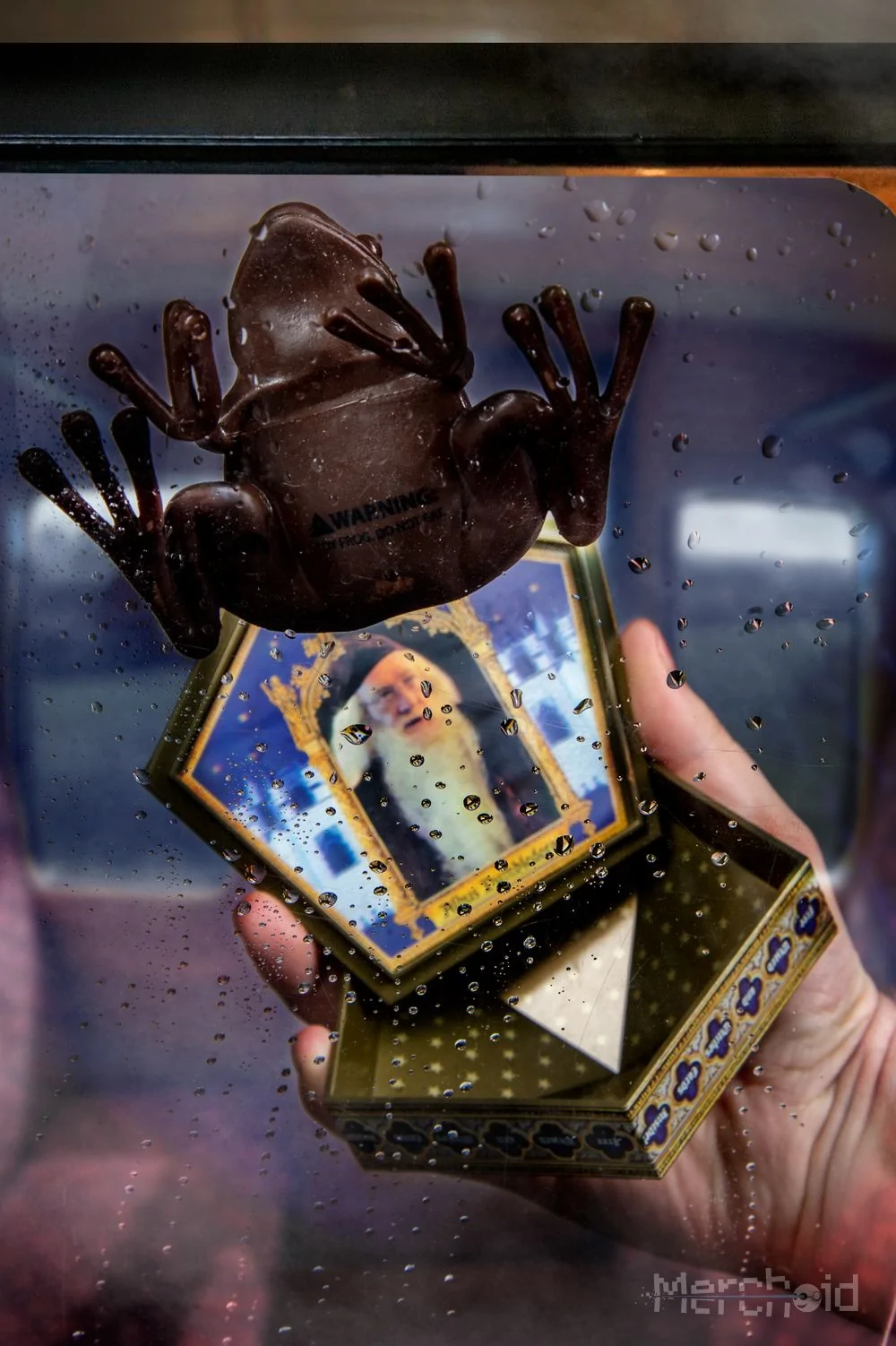 Harry Potter Chocolate Frog Prop Replica 6 Harry Potter Chocolate Frog Prop Replica - Image 4