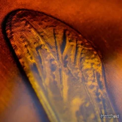 JURASSIC PARK Mosquito In Amber Limited Edition Ingot Preorder -Wigs for Fancy Dress Sales Shop jurassicpark amber ingot 10