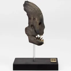 Geek Trapper Mask Replica Preorder 15 Geek Trapper Mask Replica Preorder -Wigs for Fancy Dress Sales Shop lab330005 5