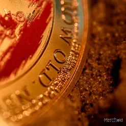 The Lost Boys Collectible Coin 22 The Lost Boys Collectible Coin -Wigs for Fancy Dress Sales Shop lostboys coin back 8