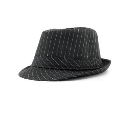 FEDORA/HAVANA/TRILBY TYPE PINSTRIPE HAT 3 FEDORA/HAVANA/TRILBY TYPE PINSTRIPE HAT
