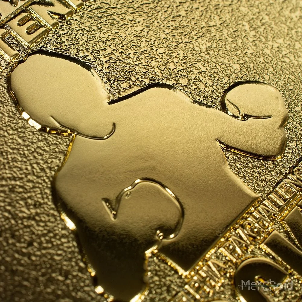 Rocky 45th Anniversary 24K Gold Plated Limited Edition Fight Ticket 12 Rocky 45th Anniversary 24K Gold Plated Limited Edition Fight Ticket - Image 10