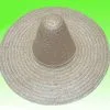 MEXICAN SOMBRERO - PLAIN 1 MEXICAN SOMBRERO - PLAIN -Wigs for Fancy Dress Sales Shop sombreroplain3