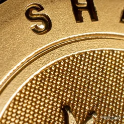 Suicide Squad,DC Comics King Shark Collectible Coin 17 Suicide Squad,DC Comics King Shark Collectible Coin -Wigs for Fancy Dress Sales Shop ss king shark goldcoin 12