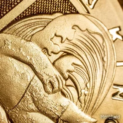 Suicide Squad,DC Comics King Shark Collectible Coin 18 Suicide Squad,DC Comics King Shark Collectible Coin -Wigs for Fancy Dress Sales Shop ss king shark goldcoin 13