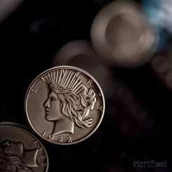 Batman,DC Comics Heads Or Fails Harvey Dent & Two-Face Coin Display -Wigs for Fancy Dress Sales Shop twofacedent coins 19