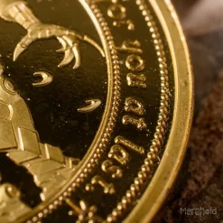 Warhammer 40,000 Necron Collectible Coin 31 Warhammer 40,000 Necron Collectible Coin -Wigs for Fancy Dress Sales Shop warhammer necron goldcoin 11