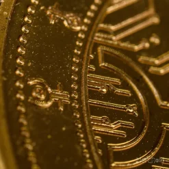 Warhammer 40,000 Necron Collectible Coin 27 Warhammer 40,000 Necron Collectible Coin -Wigs for Fancy Dress Sales Shop warhammer necron goldcoin 15